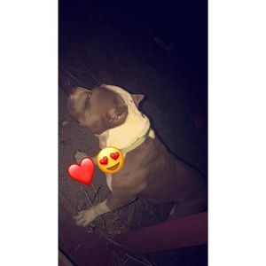 Meet your Posher, Corina